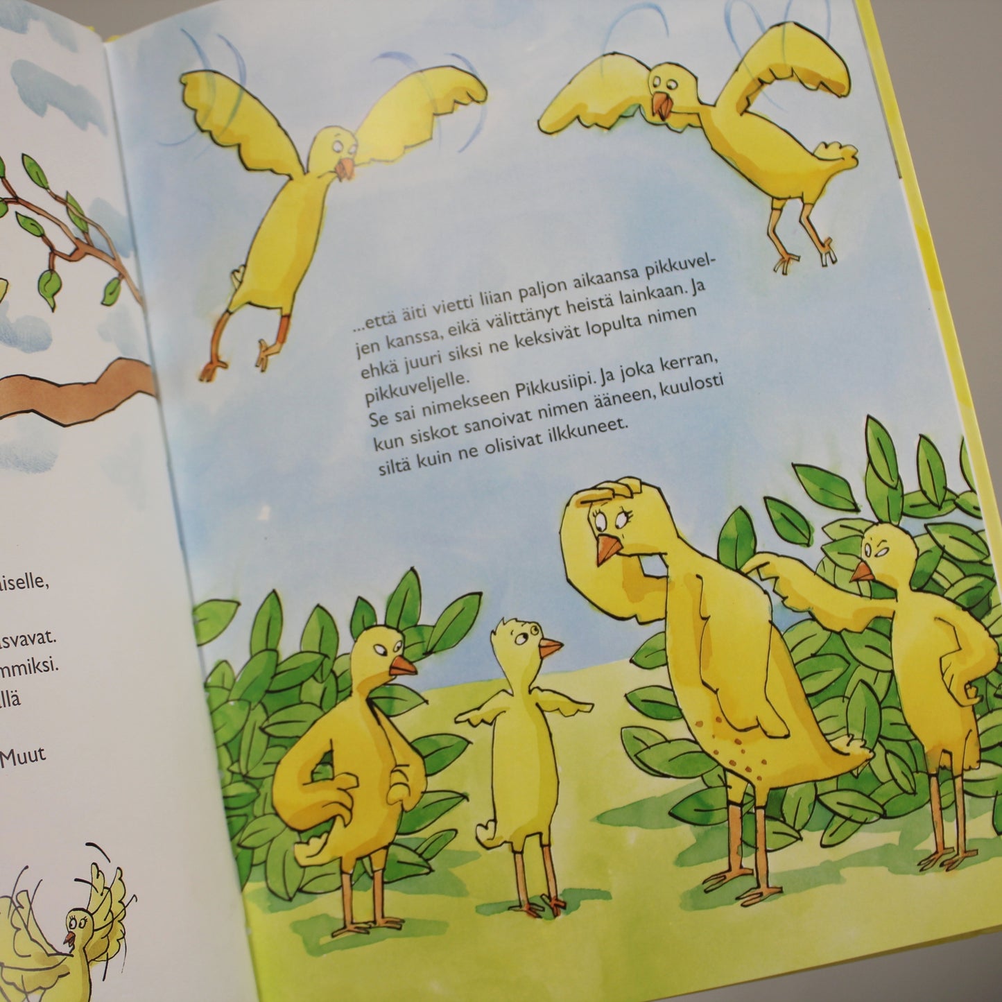 second hand Kuvakirja paperisivu - Pikkusiipi, 3+v-Lasten parhaat kirjat